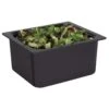 CARLISLE San Jamar® CI7004BK Chill-It® 1/2-Size Black Food Pan